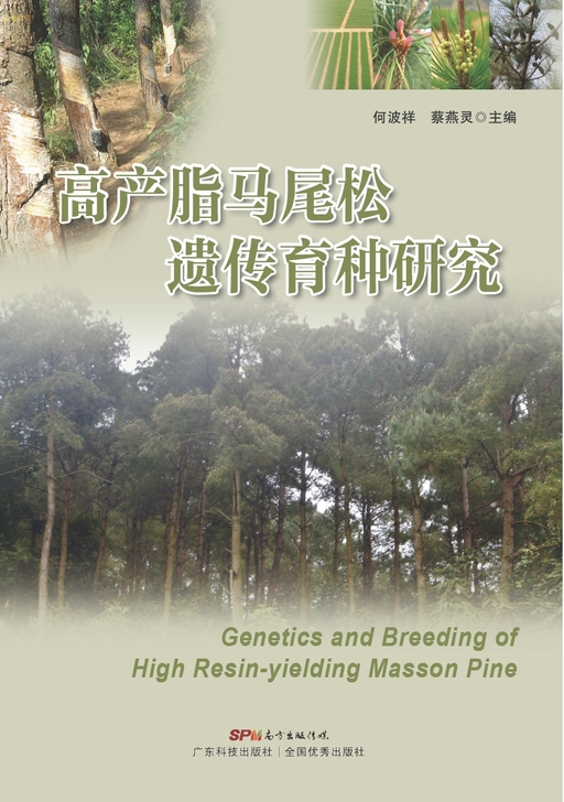高产脂马尾松遗传育种研究