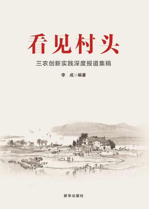 看见村头：三农创新实践深度报道集